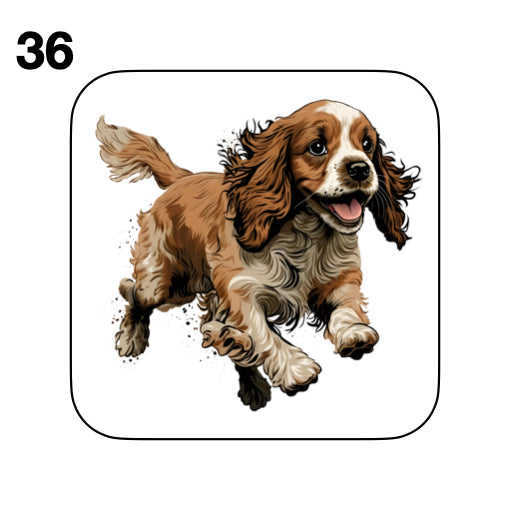 Coasters - 48x different images of Cocker Spaniel dog breed