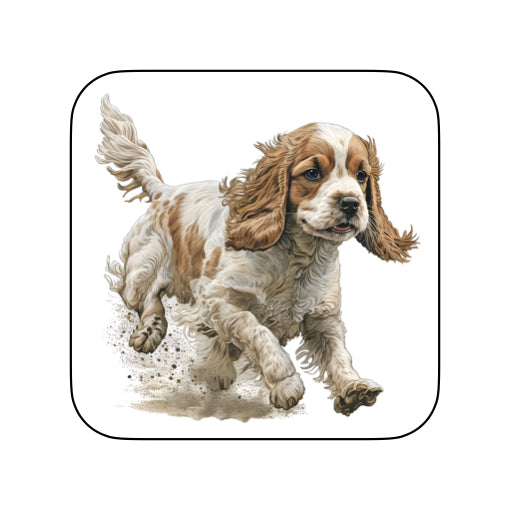 Coasters - 48x different images of Cocker Spaniel dog breed