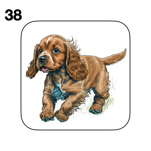 Coasters - 48x different images of Cocker Spaniel dog breed
