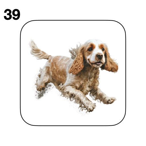 Coasters - 48x different images of Cocker Spaniel dog breed