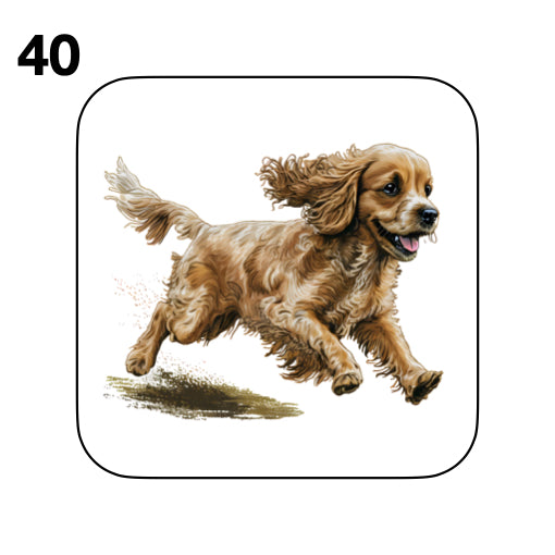Coasters - 48x different images of Cocker Spaniel dog breed