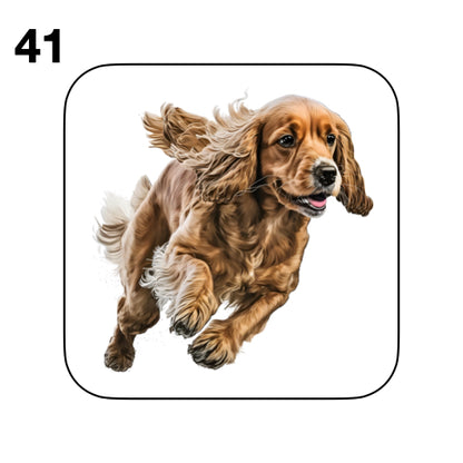 Coasters - 48x different images of Cocker Spaniel dog breed