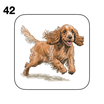 Coasters - 48x different images of Cocker Spaniel dog breed