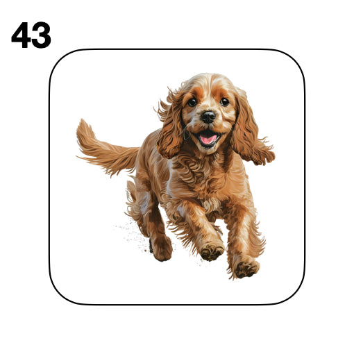 Coasters - 48x different images of Cocker Spaniel dog breed