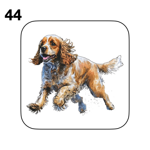 Coasters - 48x different images of Cocker Spaniel dog breed