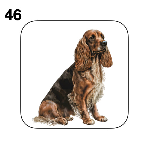 Coasters - 48x different images of Cocker Spaniel dog breed