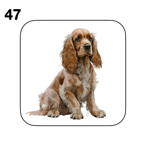 Coasters - 48x different images of Cocker Spaniel dog breed