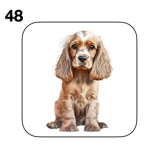 Coasters - 48x different images of Cocker Spaniel dog breed
