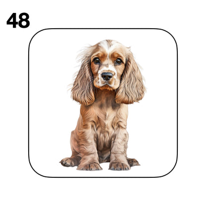 Coasters - 48x different images of Cocker Spaniel dog breed