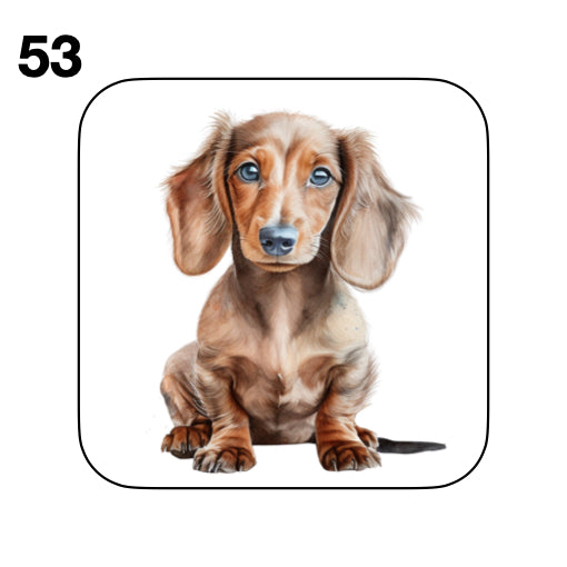 Coasters - 53x different images of Dachshund dog breed