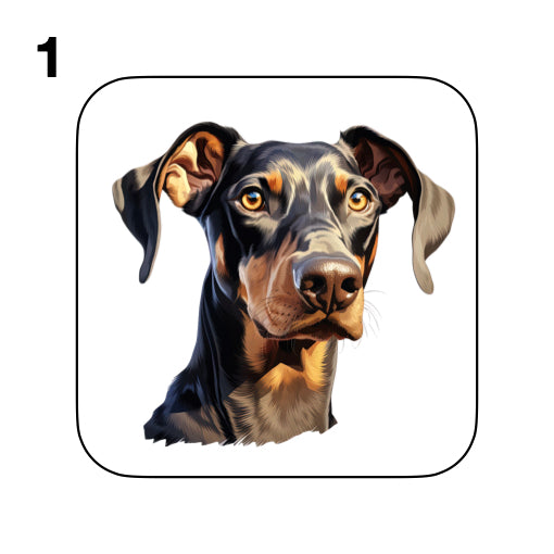 Coasters - 42x different images of Doberman dog breed