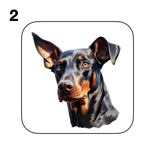 Coasters - 42x different images of Doberman dog breed