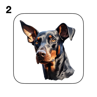 Coasters - 42x different images of Doberman dog breed
