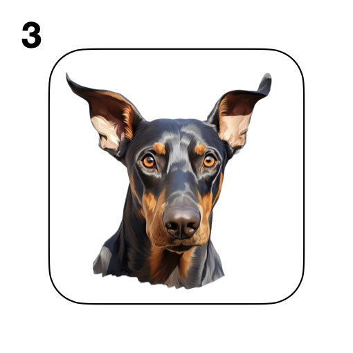 Coasters - 42x different images of Doberman dog breed