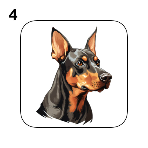Coasters - 42x different images of Doberman dog breed