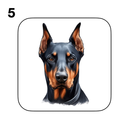 Coasters - 42x different images of Doberman dog breed