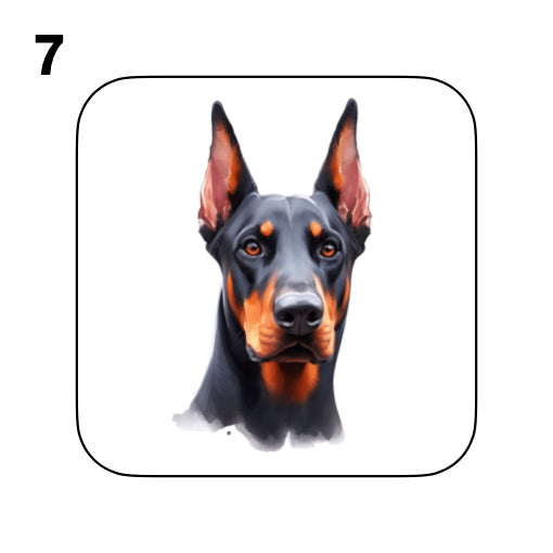 Coasters - 42x different images of Doberman dog breed