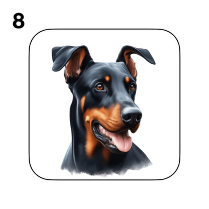 Coasters - 42x different images of Doberman dog breed