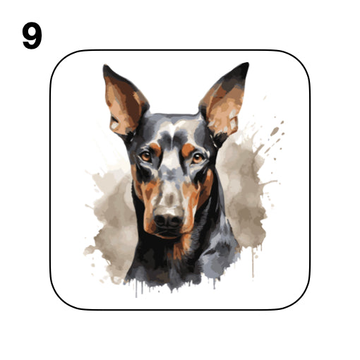 Coasters - 42x different images of Doberman dog breed