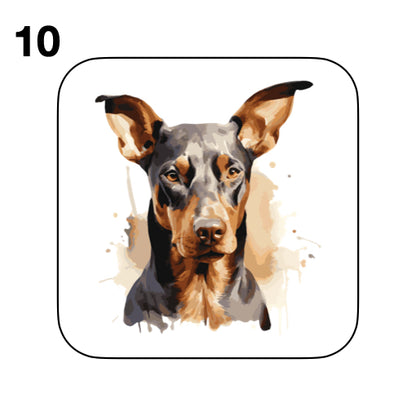 Coasters - 42x different images of Doberman dog breed