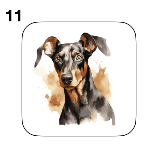 Coasters - 42x different images of Doberman dog breed