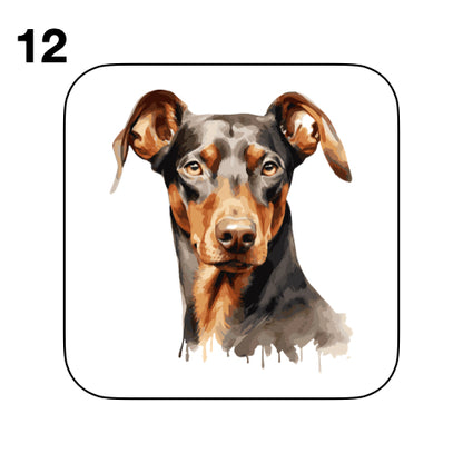 Coasters - 42x different images of Doberman dog breed