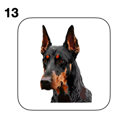 Coasters - 42x different images of Doberman dog breed
