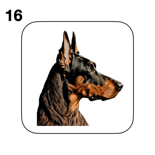 Coasters - 42x different images of Doberman dog breed