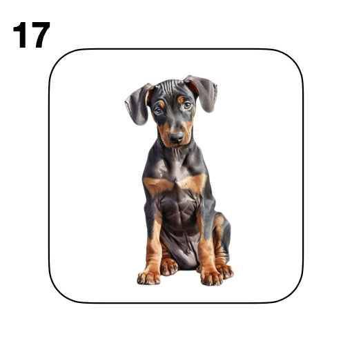 Coasters - 42x different images of Doberman dog breed