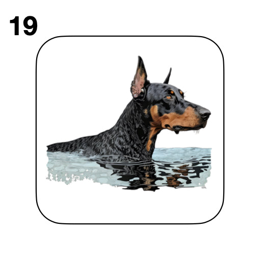 Coasters - 42x different images of Doberman dog breed
