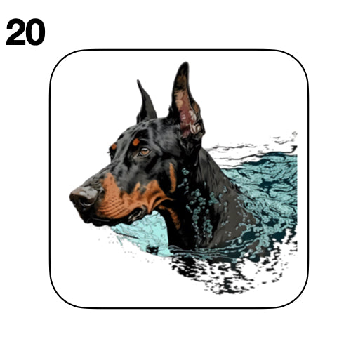Coasters - 42x different images of Doberman dog breed