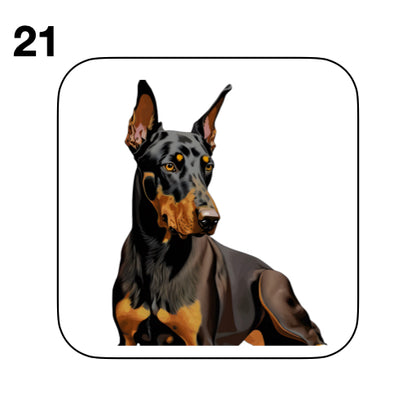 Coasters - 42x different images of Doberman dog breed