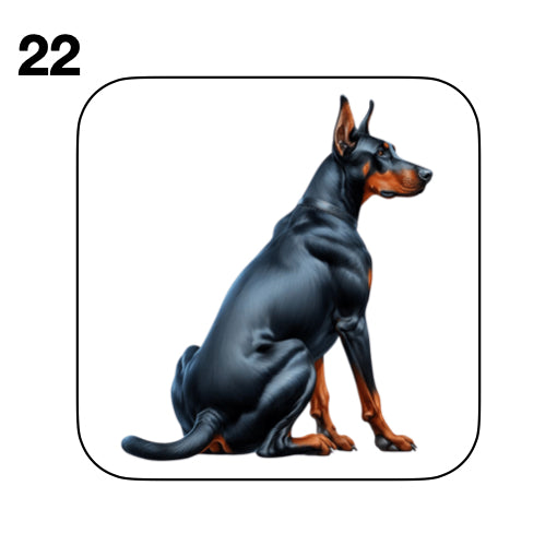 Coasters - 42x different images of Doberman dog breed