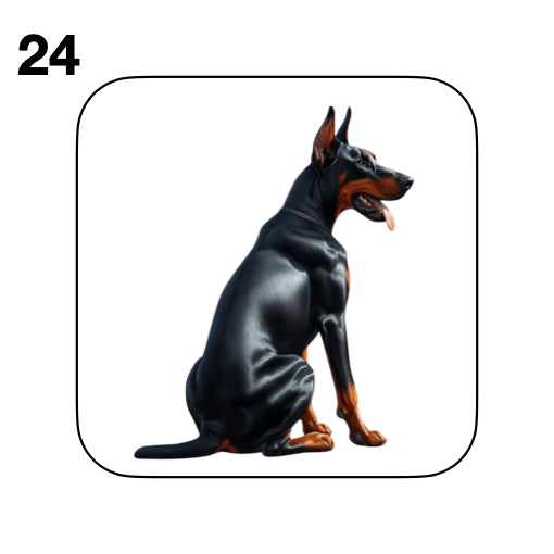 Coasters - 42x different images of Doberman dog breed