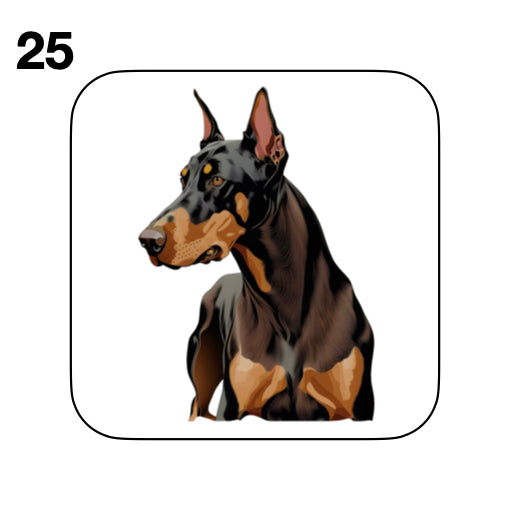 Coasters - 42x different images of Doberman dog breed