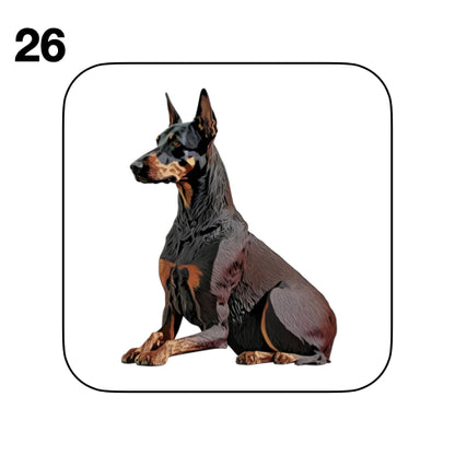 Coasters - 42x different images of Doberman dog breed