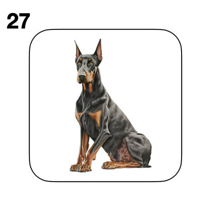 Coasters - 42x different images of Doberman dog breed