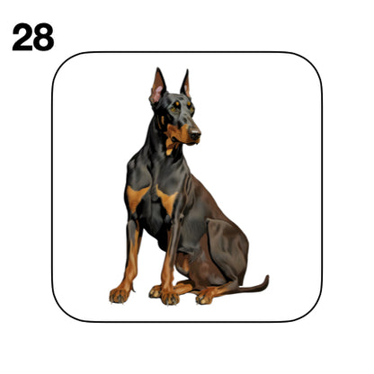 Coasters - 42x different images of Doberman dog breed