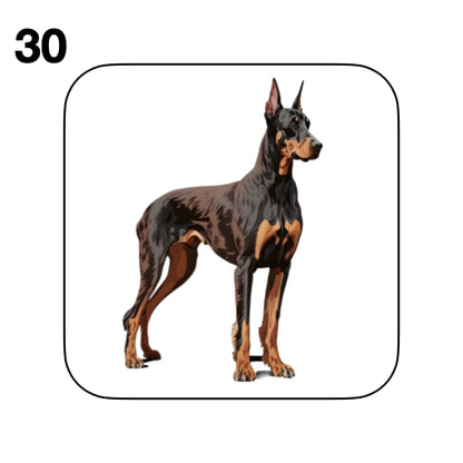 Coasters - 42x different images of Doberman dog breed