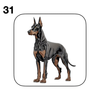 Coasters - 42x different images of Doberman dog breed