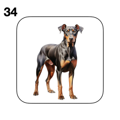 Coasters - 42x different images of Doberman dog breed
