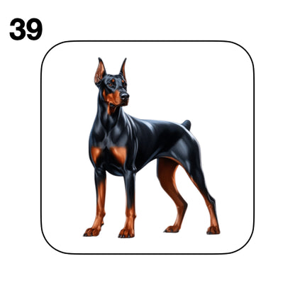 Coasters - 42x different images of Doberman dog breed