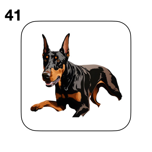 Coasters - 42x different images of Doberman dog breed