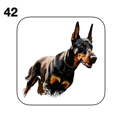 Coasters - 42x different images of Doberman dog breed