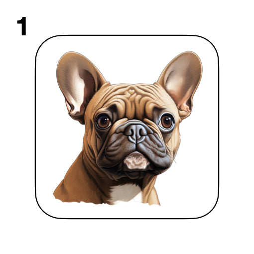 Coasters - 52x different images of French Bulldog breed
