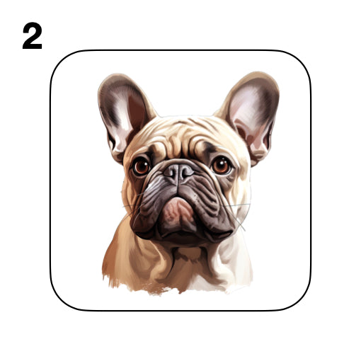 Coasters - 52x different images of French Bulldog breed