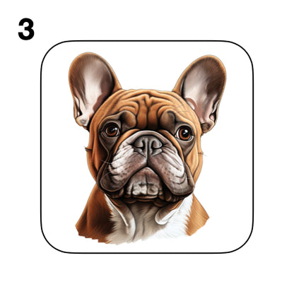 Coasters - 52x different images of French Bulldog breed