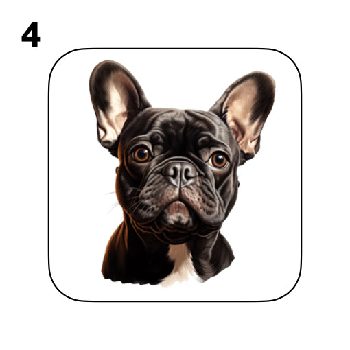 Coasters - 52x different images of French Bulldog breed