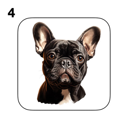 Coasters - 52x different images of French Bulldog breed