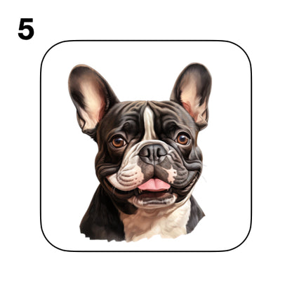Coasters - 52x different images of French Bulldog breed